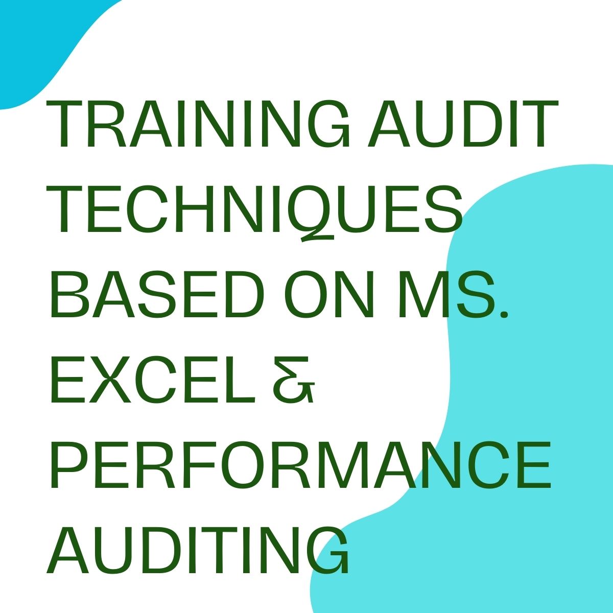 pelatihan AUDIT TECHNIQUES BASED ON MS. EXCEL & PERFORMANCE AUDITING di jakarta