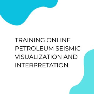 pelatihan ONLINE PETREL SEISMIC VISUALIZATION AND INTERPRETATION di jakarta