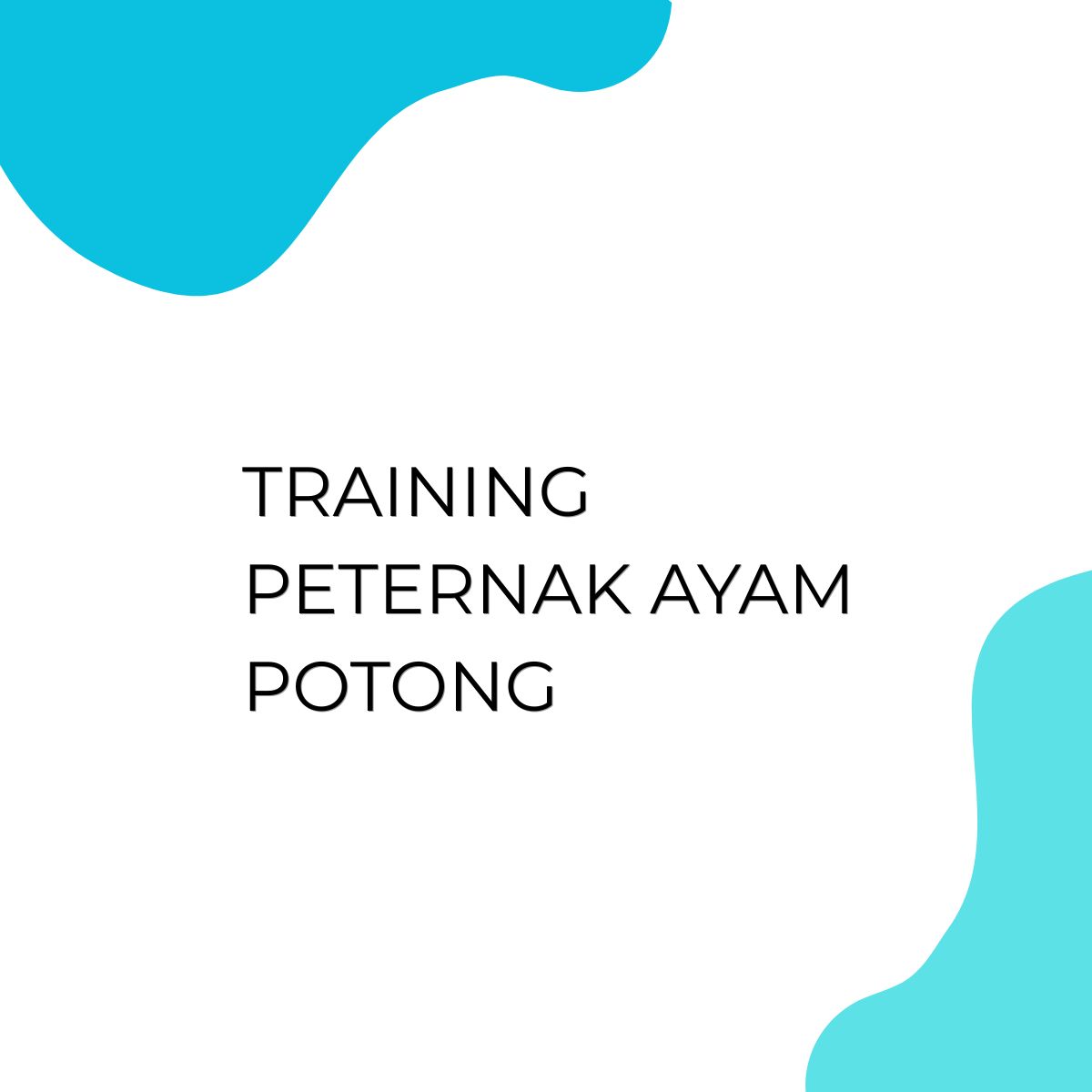 pelatihan Peternak Ayam Potong di jakarta